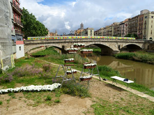 Temps de Flors 2025. Avinguda Sant Francesc