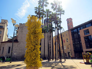 Temps de Flors 2025. Plaça de Santa Susanna