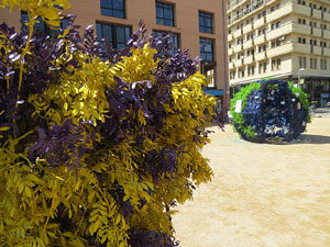 Temps de Flors 2025. Plaça de Santa Susanna