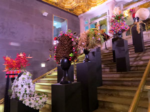 Temps de Flors 2025. Escales del Teatre Municipal