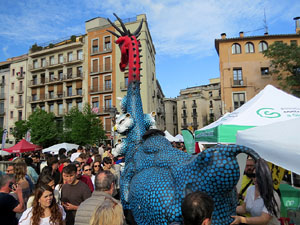 Diada de Sant Jordi 2026 a Girona