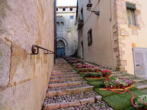 Temps de Flors 2026. Bas&iacute;lica de Sant Feliu. Escalinata lateral nord