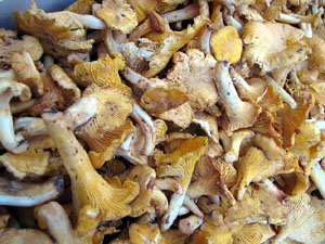 Fires d'alimentació artesana