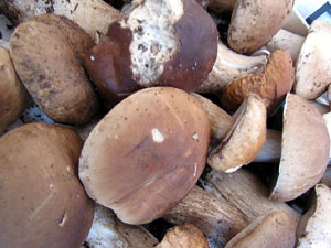 Fires d'alimentació artesana