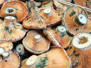 Fires d'alimentació artesana