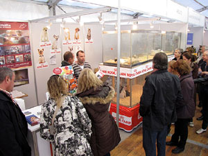 La Fira de Mostres a Fira de Girona