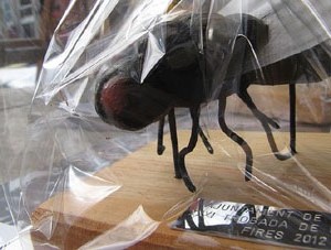 Trobada de gegants: la ballada