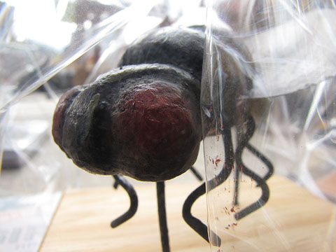 Trobada de gegants: La mosca de Sant Narcís