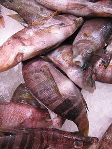 El Mercat del Lle&oacute;, per festes