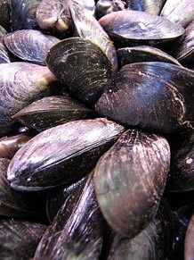 El Mercat del Lle&oacute;, per festes