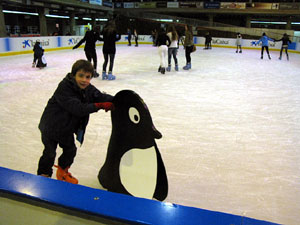 Pista de gel a Fira de Girona