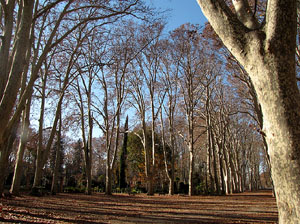 La plaça de les Botxes