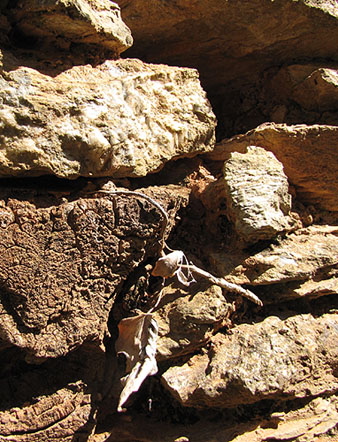 Detall de la construcció dels murs amb pedra de la zona