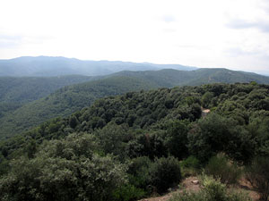 Conjunt arquitectònic del castell de Sant Miquel