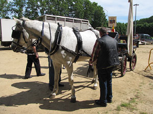 La Cavalcada de Sant Antoni 2013
