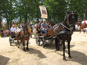 La Cavalcada de Sant Antoni 2013