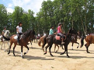 La Cavalcada de Sant Antoni 2013