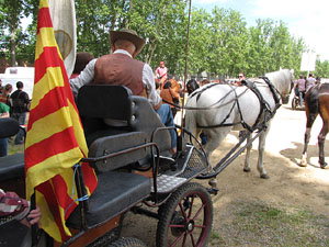 La Cavalcada de Sant Antoni 2013
