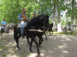La Cavalcada de Sant Antoni 2013