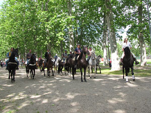 La Cavalcada de Sant Antoni 2013