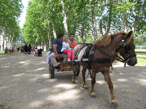 La Cavalcada de Sant Antoni 2013
