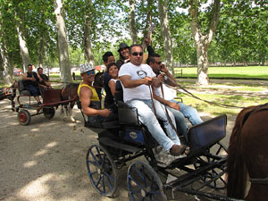 La Cavalcada de Sant Antoni 2013