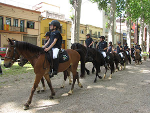 La Cavalcada de Sant Antoni 2013
