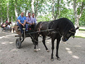La Cavalcada de Sant Antoni 2013
