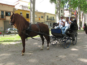 La Cavalcada de Sant Antoni 2013