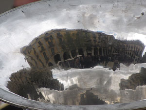 Concert de la banda La Lira a la plaça de la Independència