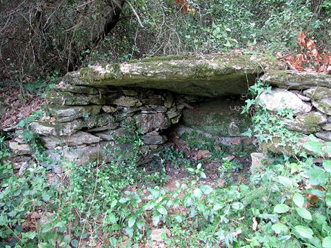 Cabana de pastor a tocar la font Martina