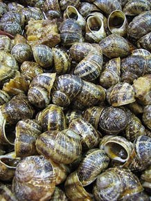 Tastets gastronòmics al Mercat del Lleó