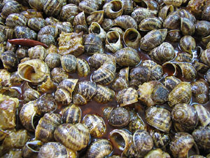 Tastets gastronòmics al Mercat del Lleó