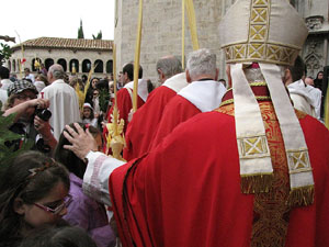 Diumenge de Rams. Benedicció de les palmes