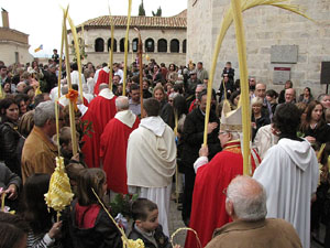 Diumenge de Rams. Benedicció de les palmes