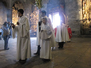 Diumenge de Rams. Benedicció de les palmes