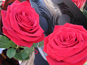 Diada de Sant Jordi 2013