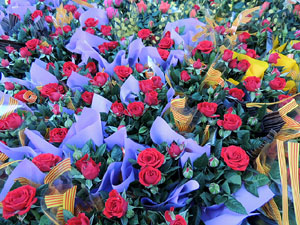 Diada de Sant Jordi 2013