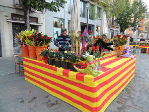 Diada de Sant Jordi 2013