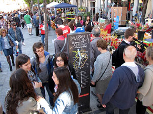 Diada de Sant Jordi 2013