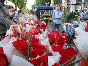 Diada de Sant Jordi 2013