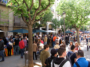 Diada de Sant Jordi 2013