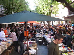 Diada de Sant Jordi 2013
