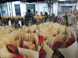 Diada de Sant Jordi 2013