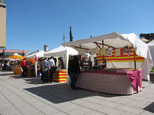 Diada de Sant Jordi 2013