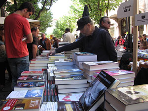 Diada de Sant Jordi 2013
