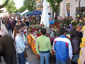 Diada de Sant Jordi 2013