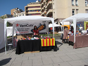 Diada de Sant Jordi 2013