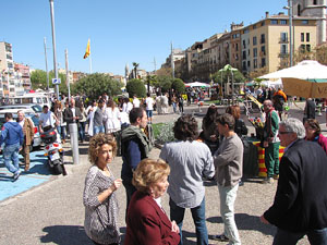 Diada de Sant Jordi 2013