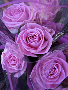 Diada de Sant Jordi 2013